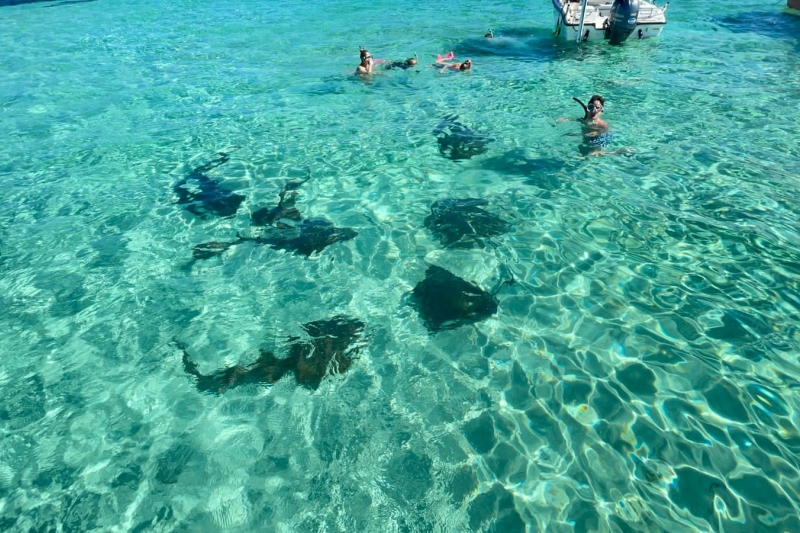 Roatan East End Tour – Saint Helene & Mangroves