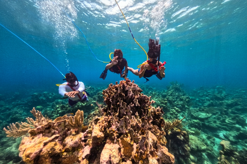 SNUBA Diving in Roatan – Beach Access