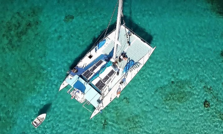 Stray Cat Catamaran Tour – Roatan Snorkeling Cruise