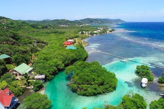 Roatan Mangrove Tour – East End Adventure