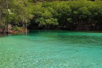 Roatan Mangrove Tour – East End Adventure