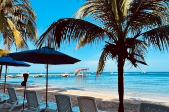 Roatan Horseback Riding – Beach, Jungle & Resort Pass