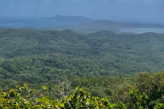 Roatan Peak Hiking Tour – Picacho Hill Adventure