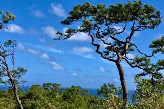 Roatan Peak Hiking Tour – Picacho Hill Adventure