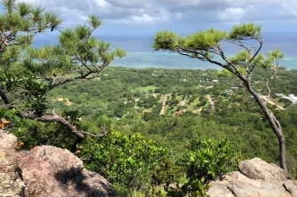Roatan Peak Hiking Tour – Picacho Hill Adventure
