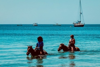 Roatan Horseback Riding – Beach, Jungle & Resort Pass