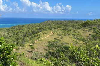 Roatan Peak Hiking Tour – Picacho Hill Adventure