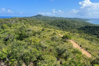 Roatan Peak Hiking Tour – Picacho Hill Adventure