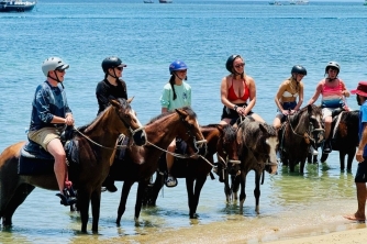 Roatan Horseback Riding – Beach, Jungle & Resort Pass