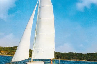 Roger’s Cat Catamaran – Roatan Snorkeling Cruise