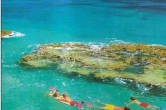 Roger’s Cat Catamaran – Roatan Snorkeling Cruise