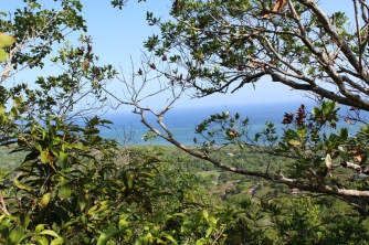 Roatan Peak Hiking Tour – Picacho Hill Adventure