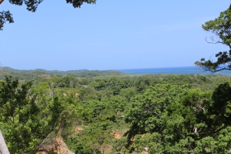 Roatan Peak Hiking Tour – Picacho Hill Adventure