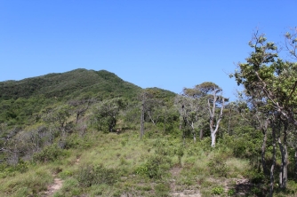 Roatan Peak Hiking Tour – Picacho Hill Adventure