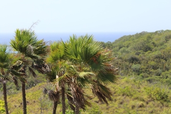 Roatan Peak Hiking Tour – Picacho Hill Adventure
