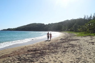 Roatan Beach Day at Paya Bay – Nature & Relax
