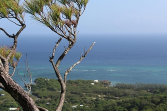 Roatan Peak Hiking Tour – Picacho Hill Adventure