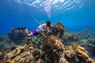 SNUBA Diving in Roatan – Beach Access
