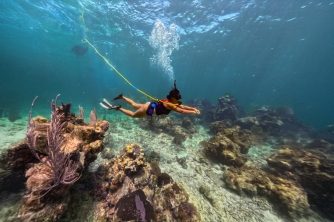 SNUBA Diving in Roatan – Beach Access