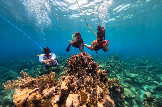 SNUBA Diving in Roatan – Beach Access