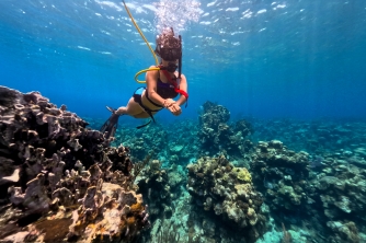 SNUBA Diving in Roatan – Beach Access
