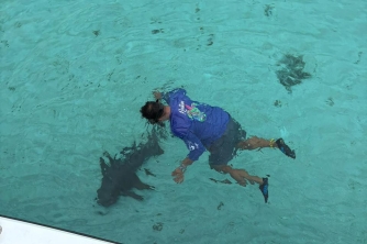 Roatan Nurse Shark Snorkeling Tour with Lunch
