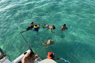 Roatan Nurse Shark Snorkeling Tour with Lunch
