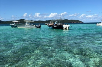Roatan Nurse Shark Snorkeling Tour with Lunch