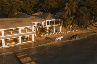 Roatan Horseback Riding – Beach, Jungle & Resort Pass