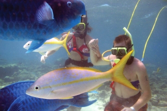 SNUBA Diving in Roatan – Beach Access