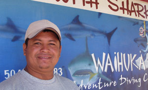 Roatan Shark Dive – Waihuka