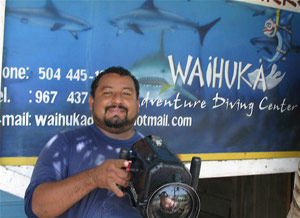 Roatan Shark Dive – Waihuka