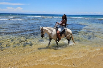 Roatan Horseback Riding – Beach, Jungle & Resort Pass