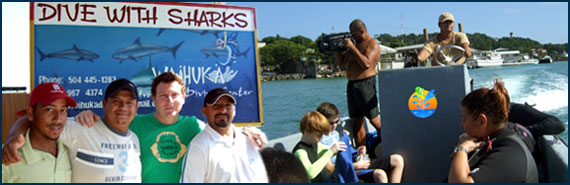 Roatan Shark Dive – Waihuka