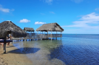Roatan Garifuna Culture Tour – Punta Gorda Village