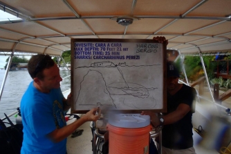 Roatan Shark Dive – Waihuka